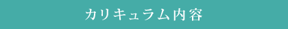 カリキュラム内容